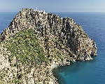 cap carnon